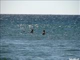 Deadman Beach - RINCÓN